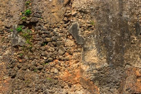 Background of the stone wall Stock Photos