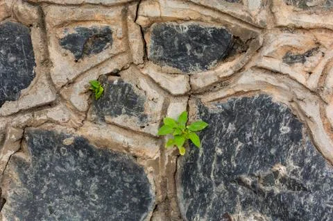 Background of stone wall texture Stock Photos