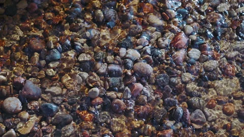 Background of stones at the bottom of a stream in spring Stock Footage 149743940