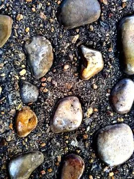 Background of stones embedded in rock Stock Photos