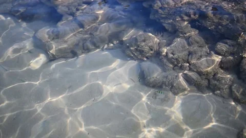 Background Stranded underwater world with corals and striped tropical fish near Video stock 109906120