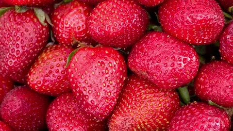 Background of strawberries Stock Footage 95563085