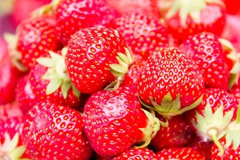 Background strawberries Stock Photos