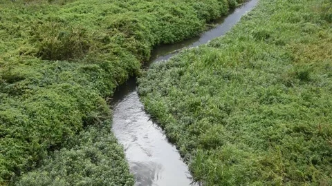 Background with a stream Stock Footage 139885415