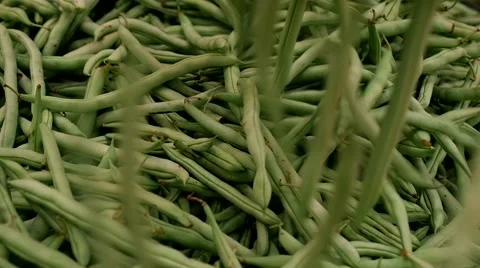 Background with String Beans dropping Stock Footage 54822656