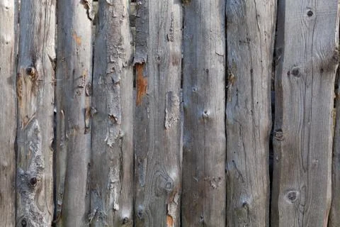 Background in style a rustic from old unpainted vertical boards with knots Stock Photos