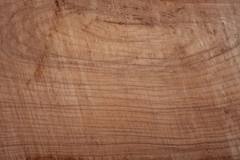 Background in the style of a tree and a tree in a slice is very close, Stock Photos