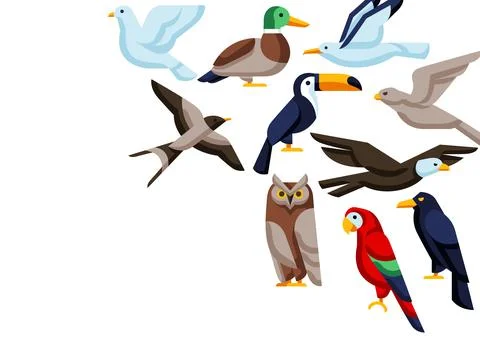 Background with stylized birds. Image of wild birds in simple style. 스톡 일러스트