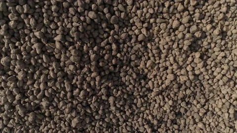 Background with sugar beets in full screen. Stock Footage 141746982