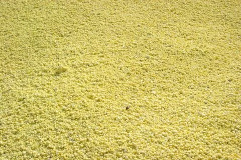 Background of Sulphur Texture Stock Photos