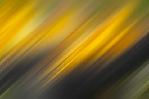 Background. Summer colored defocused background. Summer texture. Backgrounds. Stock Photos
