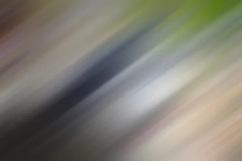 Background. Summer colored defocused background. Summer texture. Backgrounds. Stock Photos