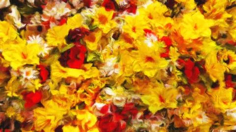 Background of summer flowers Stock Photos