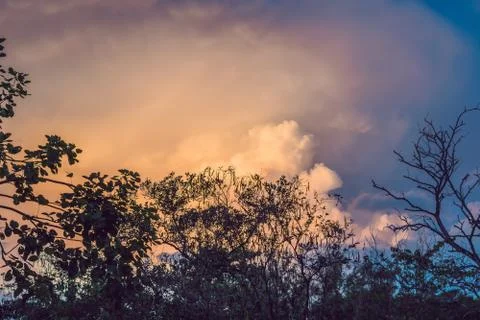 Background sun coming into pink clouds Stock Photos