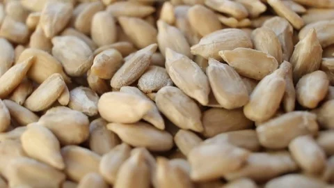 Background of Sunflower Seeds rotating close up Stock Footage 83614444