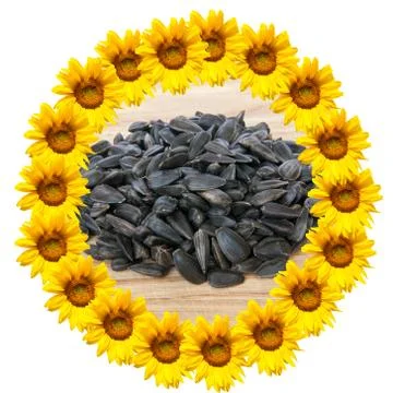 Background of sunflowers Stock Photos