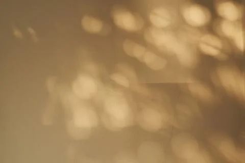 Background of sunlight and shadow on the wall Stock Photos