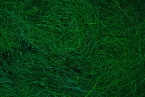 Background surface dark green, thin and curled up bunch of straws Stock Photos