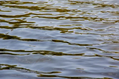 Background of surface of the Dnieper River. River water in autumn in rays o.. Stock Photos