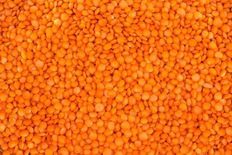 Background of surface of raw whole red lentil on heap Stock Photos