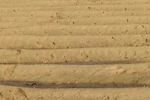 Background surface of sand in the beach during low tide Stock Photos
