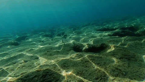 Background the surface of the sea under water Stock Footage 119491737