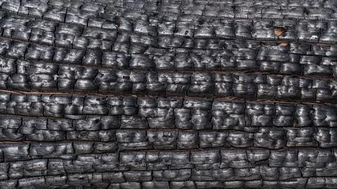 Background surface texture black burnt wood. Stock Photos