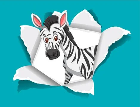 Background template design with wild zebra on blue paper Stock Illustration