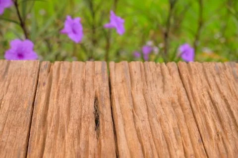 Background template Stock Photos