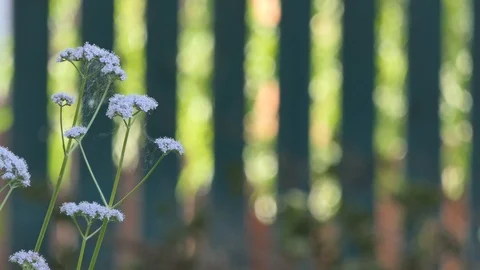 Background for text and titles 스톡 동영상 110964456