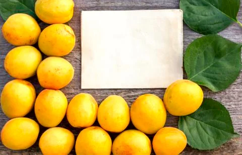 Background for text craft paper sheet green leaves ripe yellow apricots Stock Photos