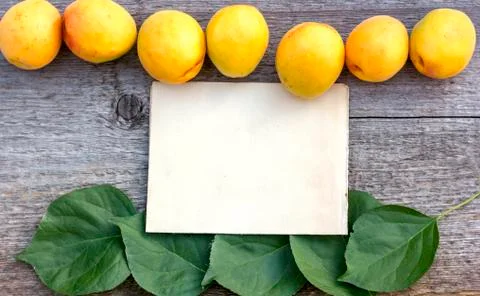 Background for text craft paper sheet green leaves ripe yellow apricots Stock Photos
