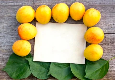 Background for text craft paper sheet green leaves ripe yellow apricots Stock Photos