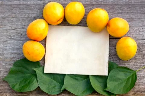 Background for text craft paper sheet green leaves ripe yellow apricots Stock Photos