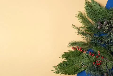 Background for text with thuja, juniper, berries and cinnamon. Yellow and blu Stock Photos