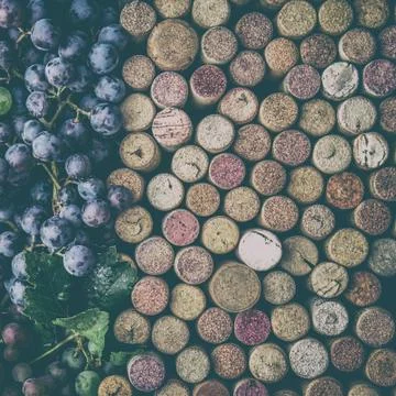 Background for text. Wine concept. Wine corcs and wine grapes. Top view. Copy Stock Photos
