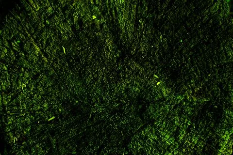 Background texture. Abstract background of dark green color. Stock Photos