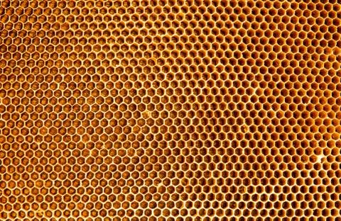 Background texture and pattern honeycomb from a bee hive filled with golden Stock Photos