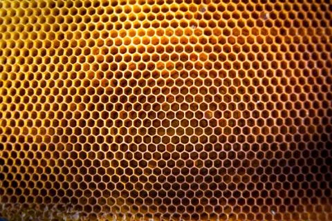 Background texture and pattern of a section of wax honeycomb Stock Photos