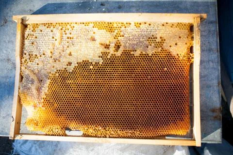 Background texture and pattern of a section of wax honeycomb Stock Photos