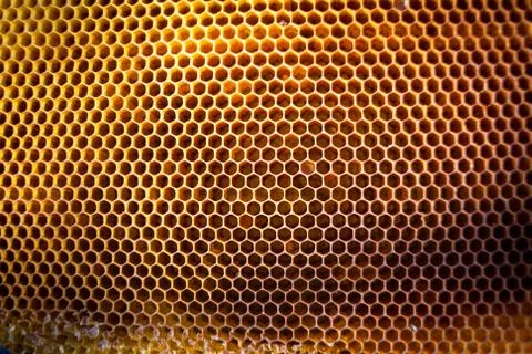 Background texture and pattern of a section of wax honeycomb Foto stock