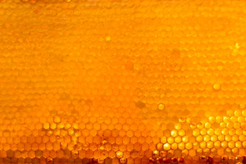 Background texture and pattern of a section of wax honeycomb Stock Photos