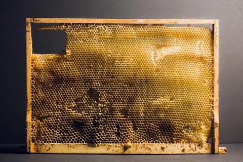 Background texture and pattern section of wax honeycomb from bee hive filled Stock Photos