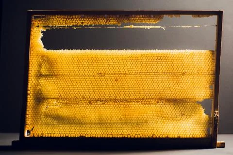 Background texture and pattern section of wax honeycomb from bee hive filled Stock Photos
