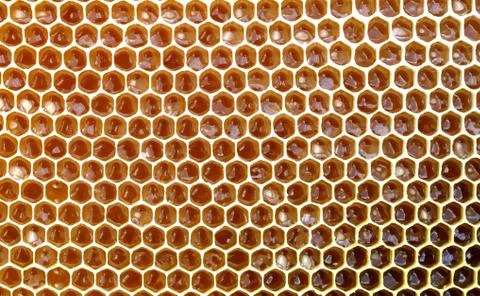 Background texture and pattern of a section of wax honeycomb from a bee hive Stock Photos