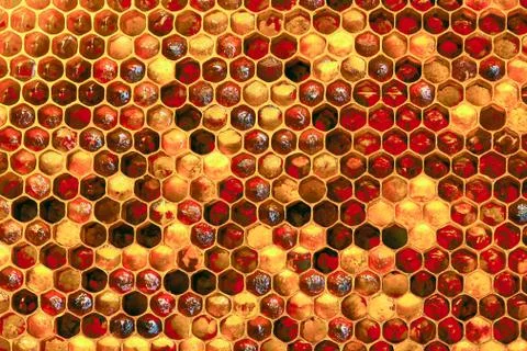 Background texture and pattern of a section of wax honeycomb from a bee hive Stock Photos