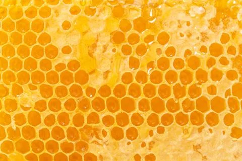 Background texture and pattern of a section of wax honeycomb from a bee hive  Stock Photos
