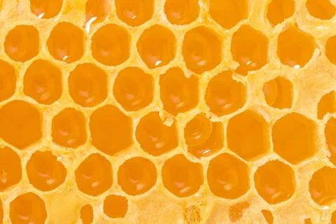 Background texture and pattern of a section of wax honeycomb from a bee hive  Stock Photos