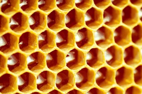 Background texture and pattern of a section of wax honeycomb from a bee hive Stock Photos