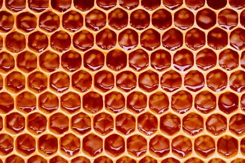 Background texture and pattern of a section of wax honeycomb from a bee hive Stock Photos